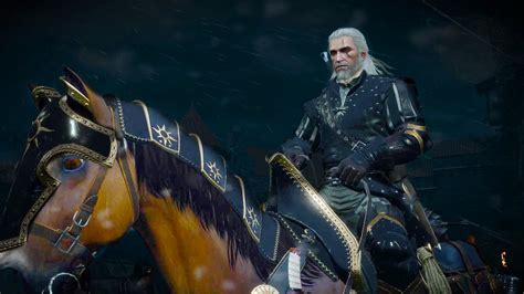 witcher 3 novigrad horse race.